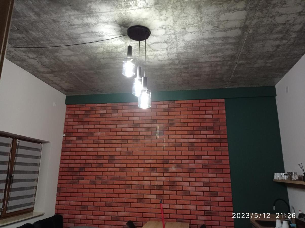 Loft Park Zator, Lokalizacja Przy Wej Parku Villa Екстериор снимка